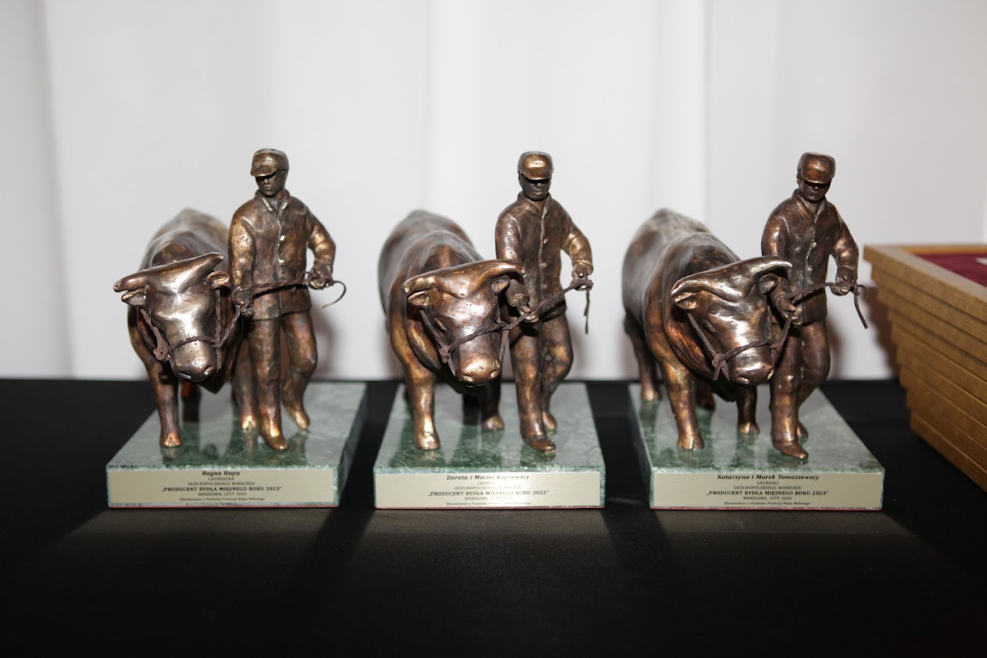 statuetki konkurs pbmr 2023